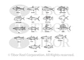 Tibor Custom Gamefish Engraving