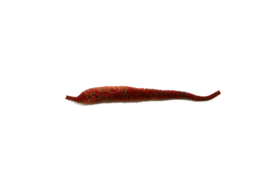 Mangum's Variegated Mini Dragon Tail UV2 - TailwaterOutfitters