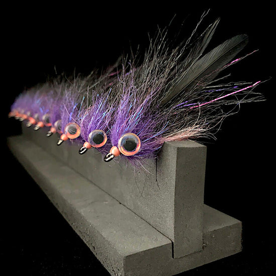 Sight Cast Matagorda Mullet