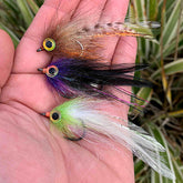 Sight Cast Matagorda Mullet