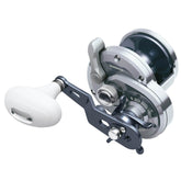 Shimano Trinidad - Tailwater Outfitters