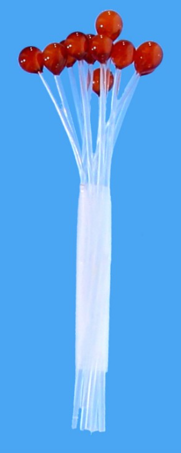 EP Crab/Shrimp Eyes - TailwaterOutfitters