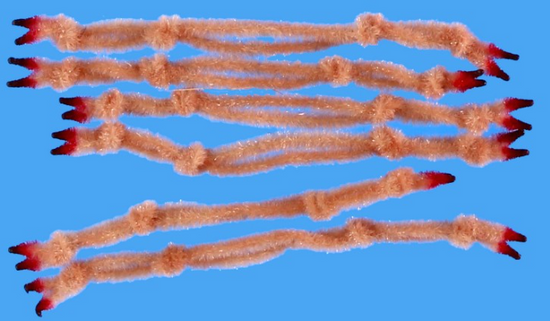 EP Crab Claw - TailwaterOutfitters