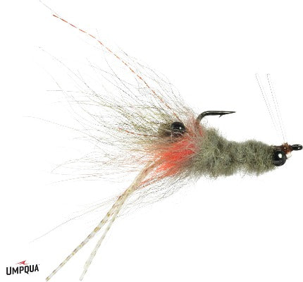 Umpqua Coyote Shrimp