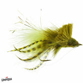 Umpqua Diving Bug - Tailwater Outfitters