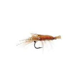 Ultra Shrimp - TailwaterOutfitters