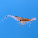 Grass Shrimp - TailwaterOutfitters