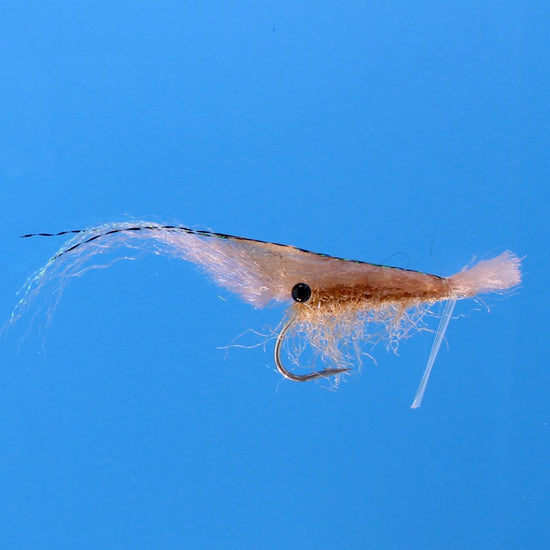 Grass Shrimp - TailwaterOutfitters