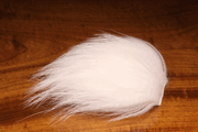 White Finish Raccoon - TailwaterOutfitters