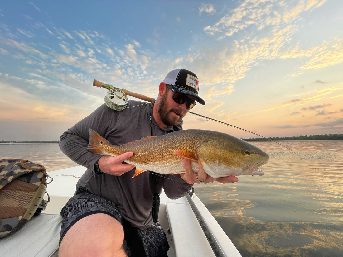 Tampa Bay: How to Catch Redfish on Fly