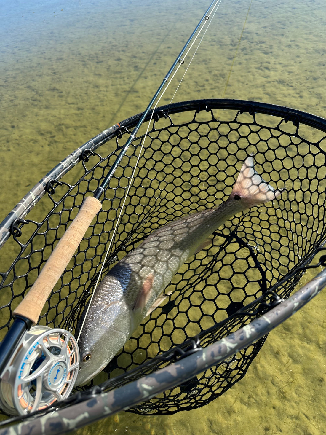 Fly Fishing in February