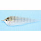 EP Rattle Pinfish