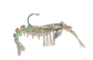 Egret 3.25" Vudu Shrimp