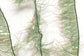 Folded Palmering Chenille 15mm