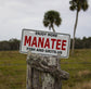 Fish and Grits Manatee License Plate