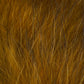 The Fly Hair Co. - Finn Racoon