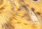 Brown Barred Rabbit Strips