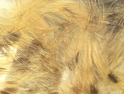 Brown Barred Rabbit Strips