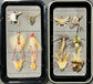 Tailwater Outfitters Permit Fly Selection