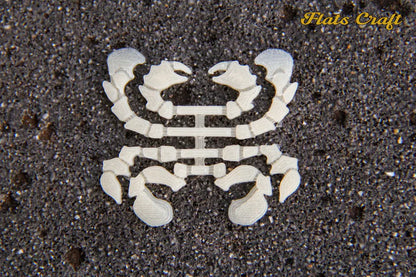 Flats Craft Moon Crab