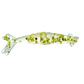 Thumpershrimp 1.5"