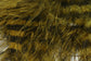Jailhouse/Barred Marabou