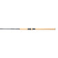 Shimano Talavera Inshore D - Spinning