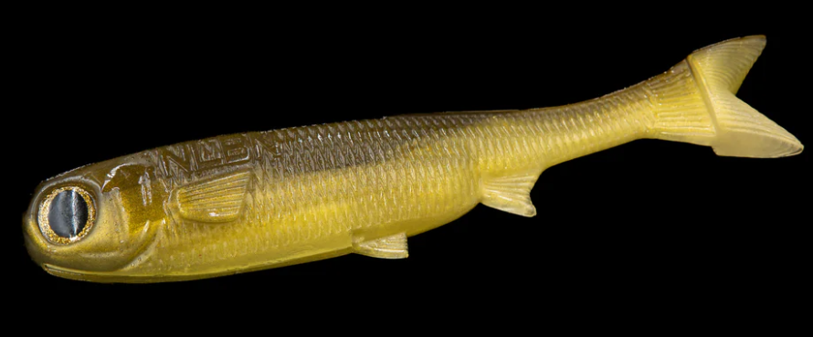NLBN 9
