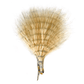 MFC Fine Barred Marabou