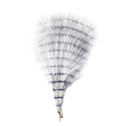 MFC Fine Barred Marabou