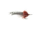 Umpqua Big Eye Tarpon Small - TailwaterOutfitters