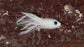 MAC FLIES Micro Simple Baitfish