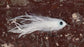 MAC FLIES Simple Baitfish