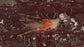 MAC FLIES Stunna Shrimp