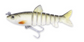 Egret 3.5" Vudu Mullet - Tailwater Outfitters