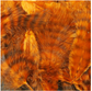 Grizzly Marabou - Tailwater Outfitters