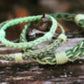 Flyvines Original Fly Line Bracelet - Tailwater Outfitters