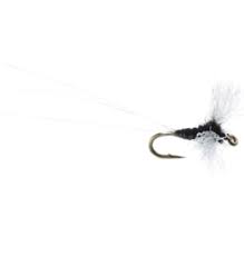 Umpqua-Trout-Leader